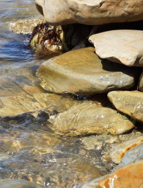 Deniz taşları, su ve yosun. 