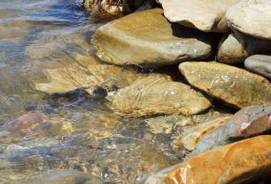 Deniz taşları, su ve yosun. 