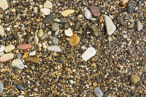 Pebbles on the seashore. — Stock Photo, Image