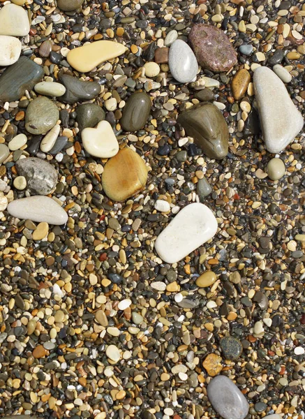 Pebbles on the seashore. — Stock Photo, Image