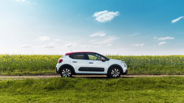 Çiçek tarlasında Citroen C3