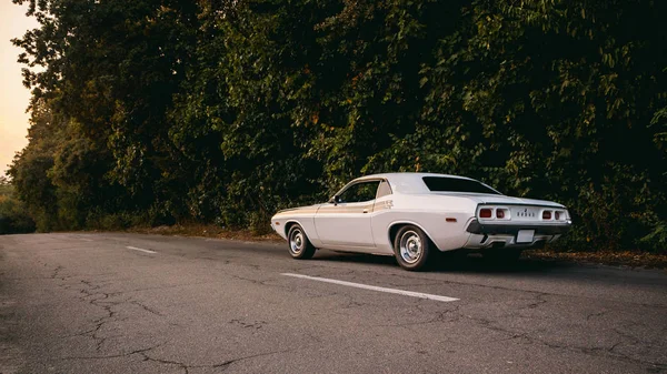 Dodge Challenger Gün Batımında — Stok fotoğraf