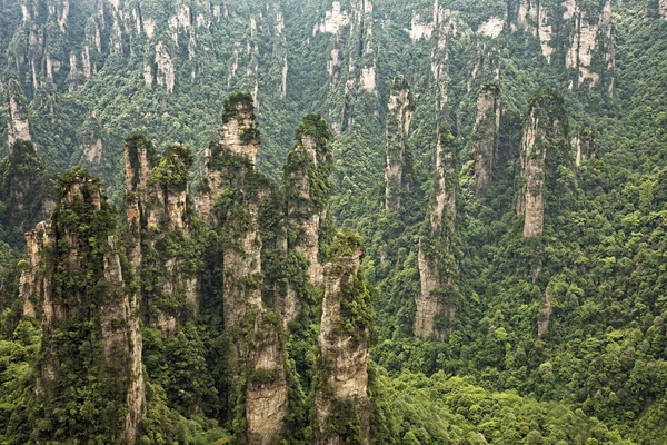 Dianjiang Terrace Rock Formations Tianzi Mountains Part Zhangjiajie National Forest — Stock Photo, Image