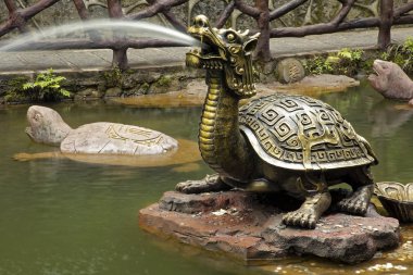 Kaplumbağa Çeşme, kaplumbağalar Zhangjiajie National Forest Park, Hunan Eyaleti, Çin bulunan Çin, iyi şans olarak kabul edilir