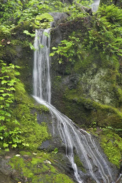 Place Thousand Drips Roaring Fork Motor Tour Great Smoky Mountains — Photo