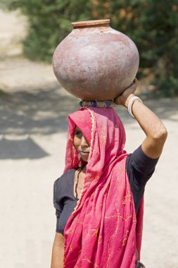 Hindu kadın baş Rajasthan Hindistan bir sürahi üst taşıyan