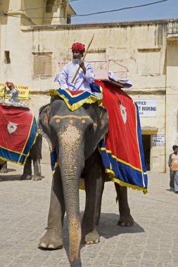 Filler Amber Fort Rajasthan Jaipur Hindistan kadar turist getirmek