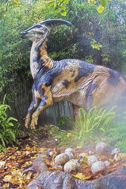 Geç Cretac gelen Parasaurolophus ördek gagalı dinozor grubu,