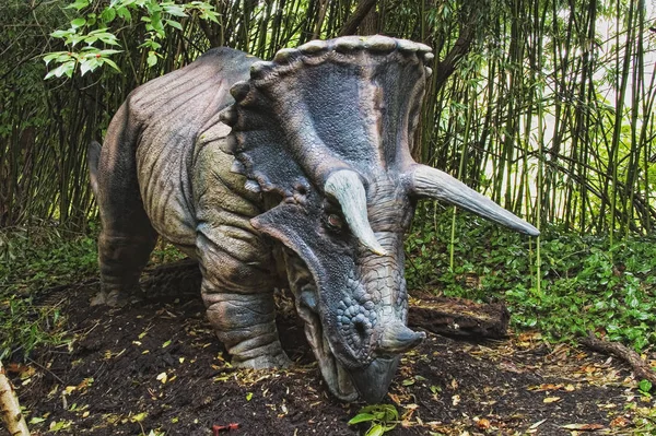 트리케라톱스는 백악기 후기의 공룡입니다. — 스톡 사진
