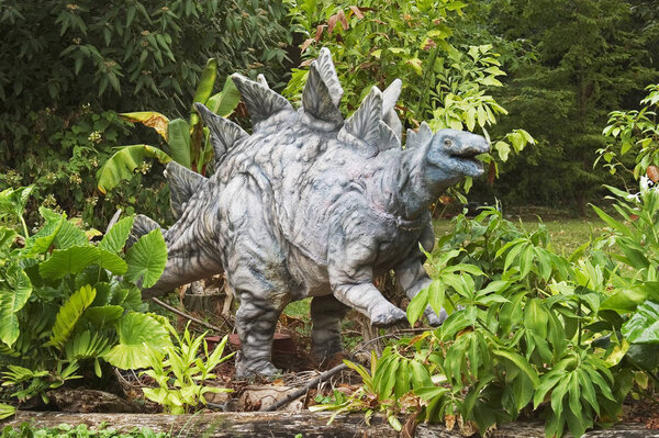 Stegosaurus is a dinosaur from the late Jurassic period.