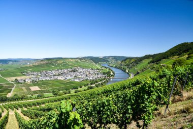 Moselle 'deki Leiwen Köyü