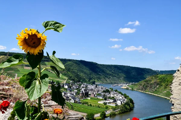 Beilstein Moselle Küçük Bir Köy — Stok fotoğraf