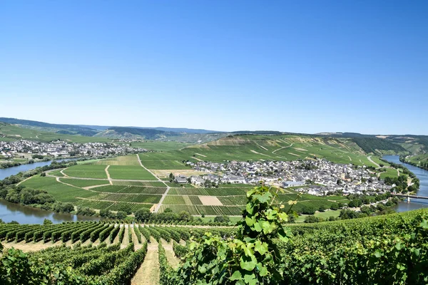 Leiwen Village Moselle — Stock Photo, Image