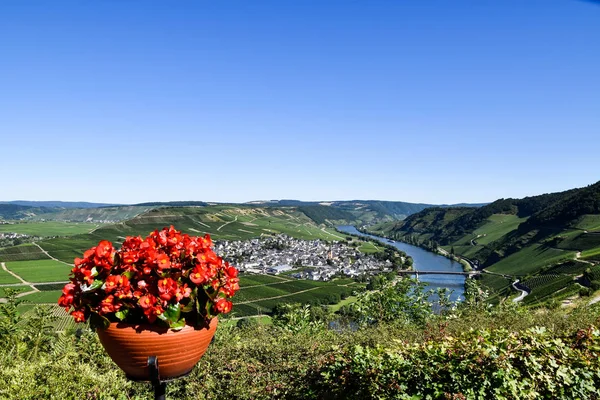 Moselle Deki Leiwen Köyü — Stok fotoğraf