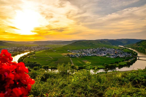 Moselle Deki Leiwen Köyü — Stok fotoğraf