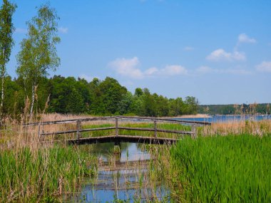Bir dere üzerinde eski ahşap köprü