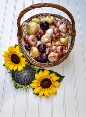 Soğan farklı çeşitleri ve boyutları