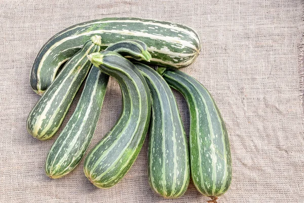 Zucchini Diferentes Variedades Tamanhos — Fotografia de Stock