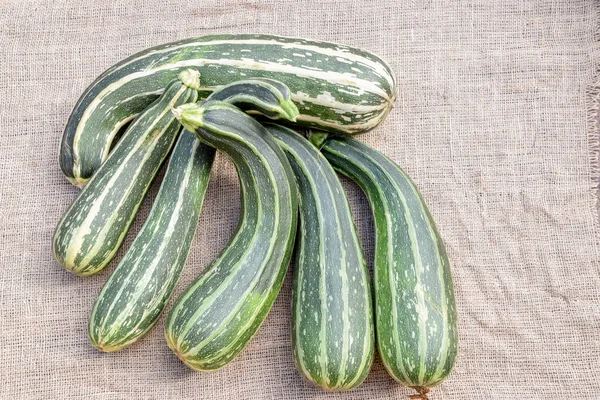 Courgettes Différentes Variétés Tailles — Photo