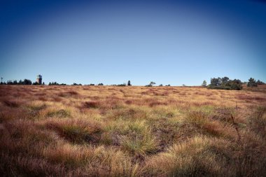 Baden-Württemberg Kara Orman
