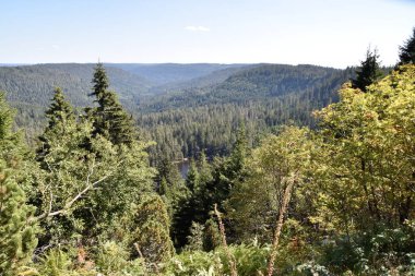 Baden-Württemberg Kara Orman