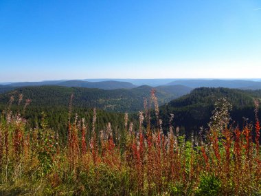 Baden-Württemberg Kara Orman