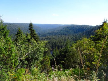 Baden-Württemberg Kara Orman
