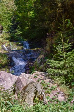 Kara Orman asil mezar şelaleler