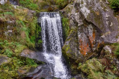 Kara Orman Triberg şelaleler