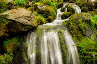 Kara Orman Triberg şelaleler