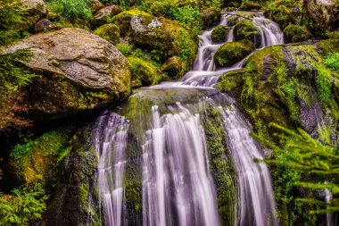 Kara Orman Triberg şelaleler