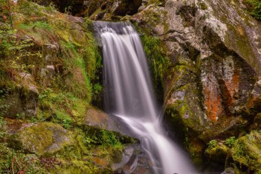 Kara Orman Triberg şelaleler