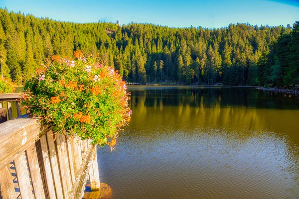 Mummelsee Selva Negra Alemania — Foto de Stock