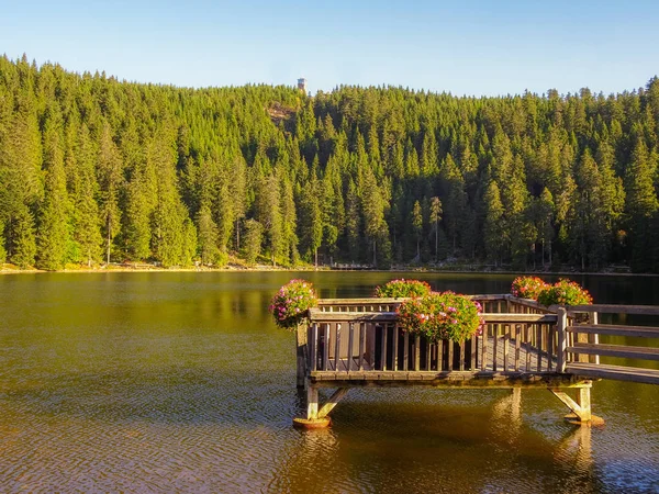 Mummelsee Black Forest Almanya