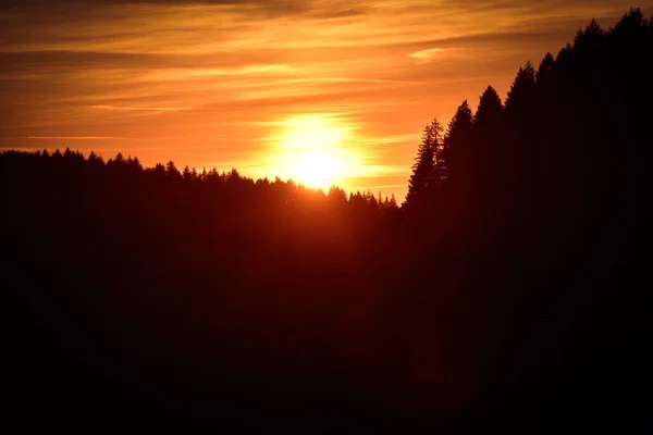 Zonsondergang Het Zwarte Woud — Stockfoto