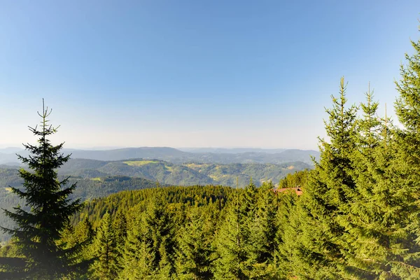 Fekete Erdő Baden Württemberg — Stock Fotó