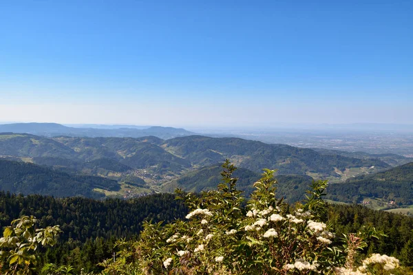 Fekete Erdő Baden Württemberg — Stock Fotó