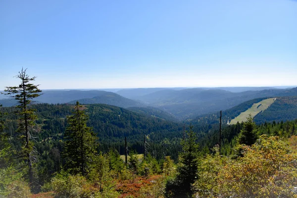 Baden Württemberg Kara Orman — Stok fotoğraf