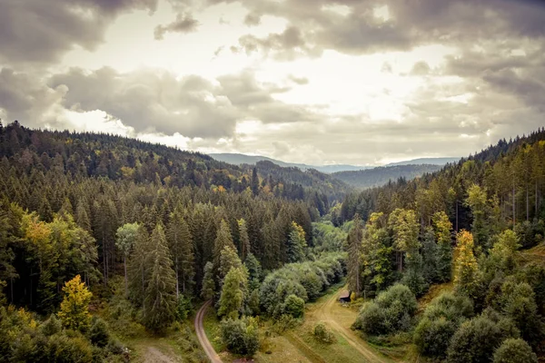 Baden-Württemberg Kara Orman