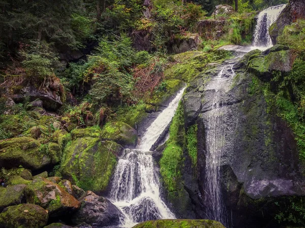 Triberg Vattenfall Den Svart Skogen — Stockfoto