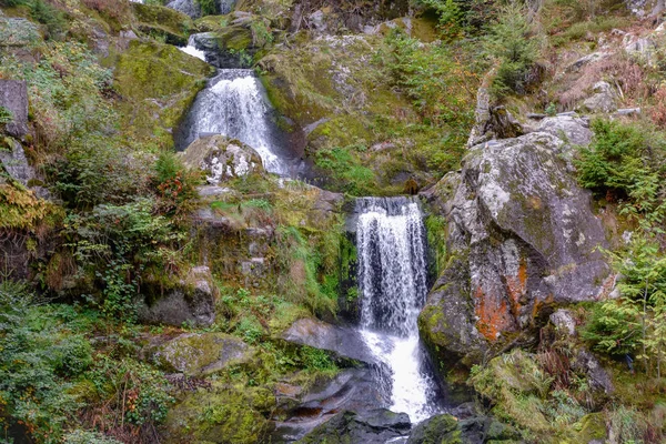 Triberg Vattenfall Den Svart Skogen — Stockfoto