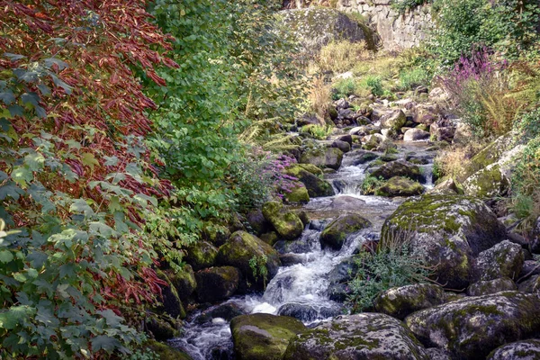 Cachoeiras Triberg Floresta Negra — Fotografia de Stock
