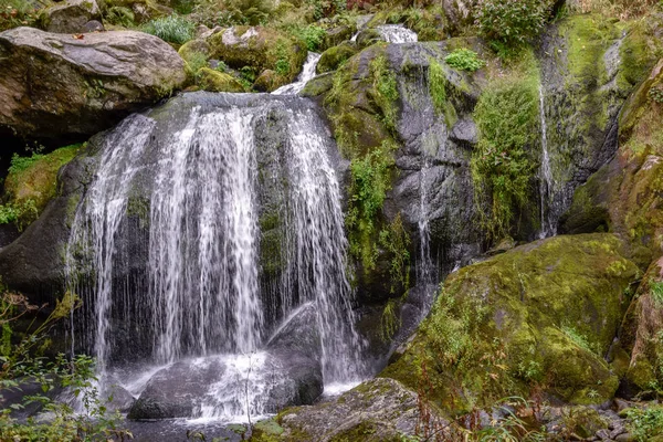 Cascades Triberg Forêt Noire — Photo