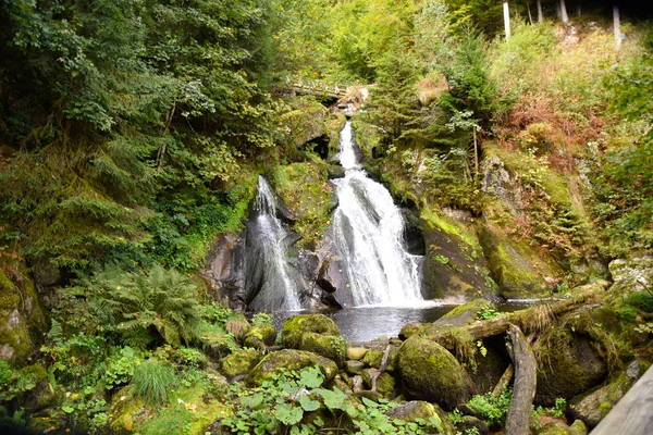 Triberg Vattenfall Den Svart Skogen — Stockfoto