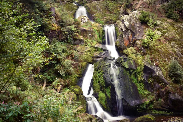 Cascadas Triberg Selva Negra —  Fotos de Stock