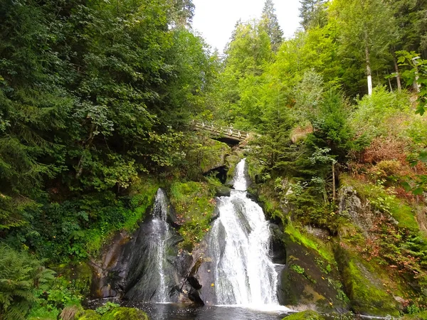 Тріберг Водоспади Лісі Чорний — стокове фото