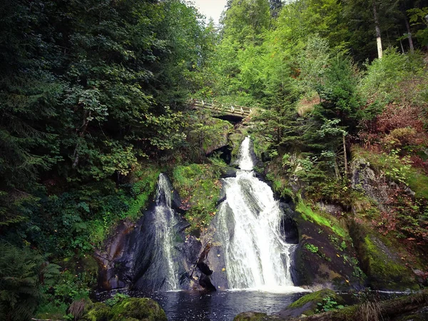 Triberg Vattenfall Den Svart Skogen — Stockfoto