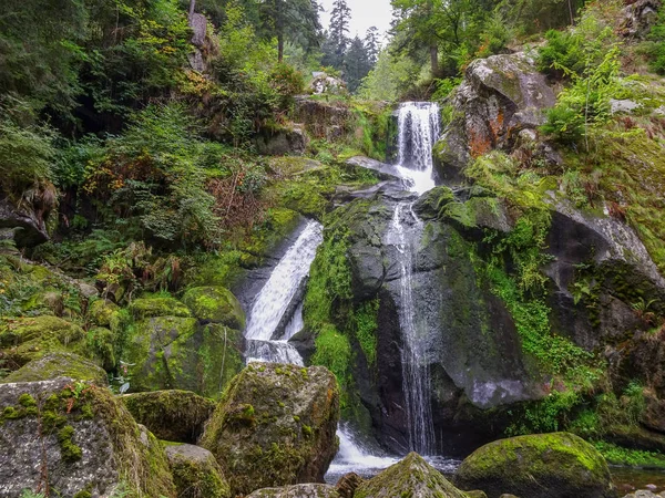 Тріберг Водоспади Лісі Чорний — стокове фото