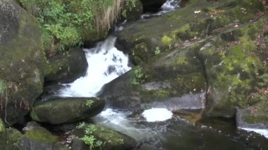 Kara Orman Triberg şelaleler