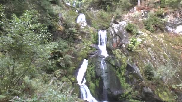 Cascades Triberg Forêt Noire — Video